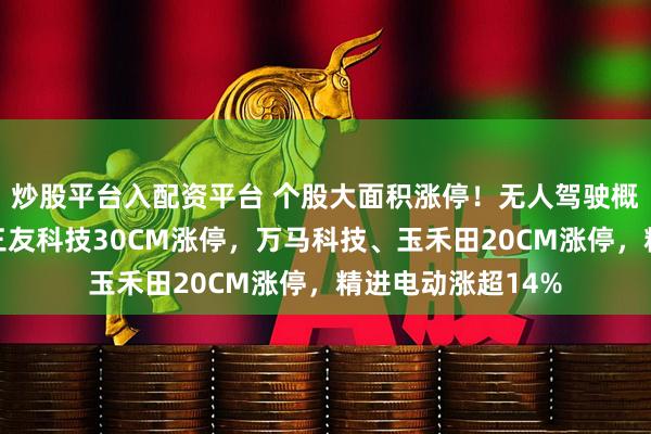 炒股平台入配资平台 个股大面积涨停！无人驾驶概念股继续走强，三友科技30CM涨停，万马科技、玉禾田20CM涨停，精进电动涨超14%
