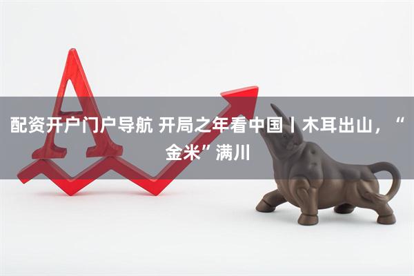 配资开户门户导航 开局之年看中国丨木耳出山,“金米”满川